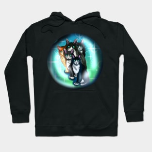 Black and white cats in a crystal ball Hoodie